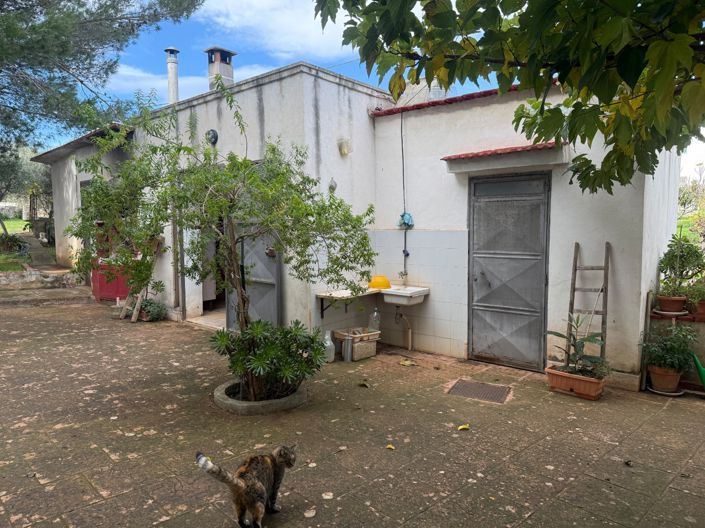 Image No.13-Villa de 3 chambres à vendre à Ostuni