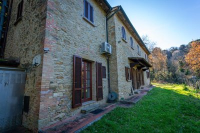 5568-volterra-a2