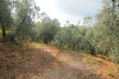 5572-vinci-colinare-a16