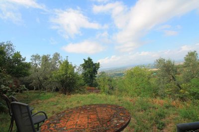 5572-vinci-colinare-a15