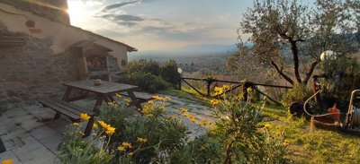 5569-lamporecchio-collinare-a9