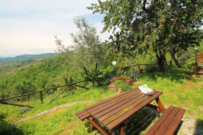 5569-lamporecchio-collinare-a6