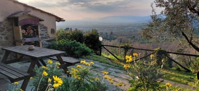 5569-lamporecchio-collinare-a11w