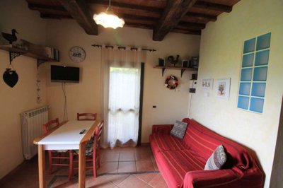 5569-lamporecchio-collinare-b1