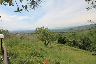 5569-lamporecchio-collinare-a7