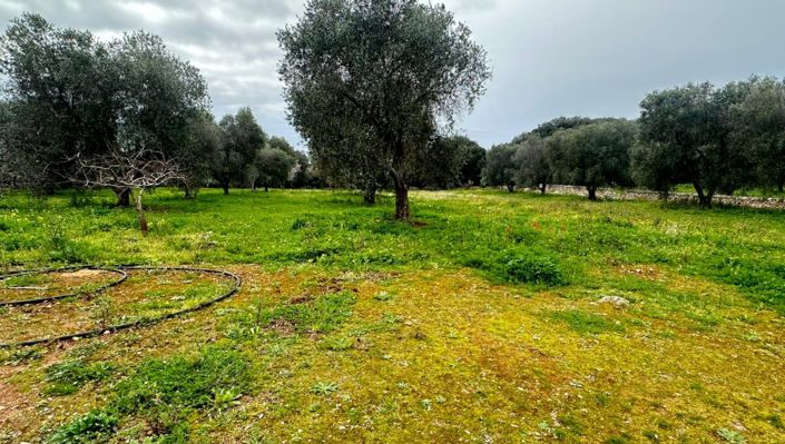 Image No.3-3 Bed Property for sale