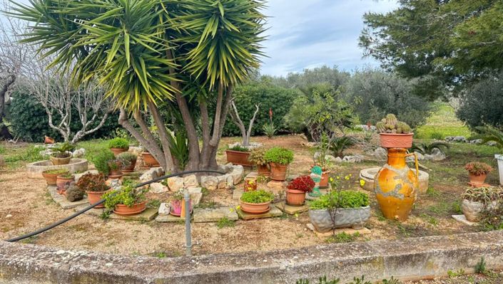 Image No.4-3 Bed Property for sale