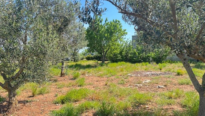 Image No.10-2 Bed Property for sale