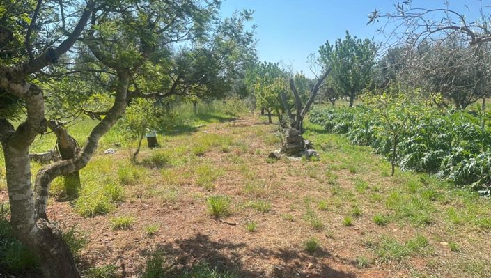 Image No.11-2 Bed Property for sale