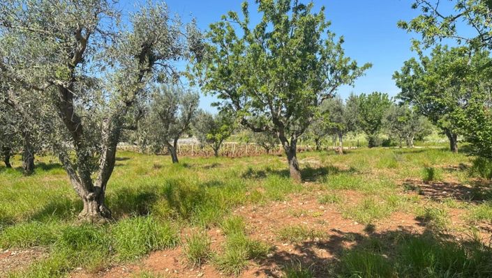 Image No.13-2 Bed Property for sale