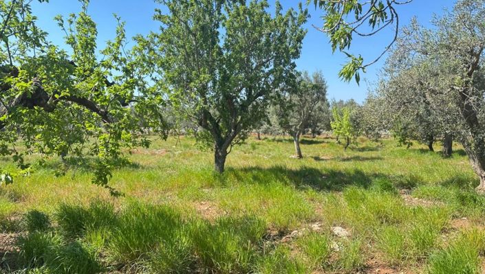 Image No.3-2 Bed Property for sale