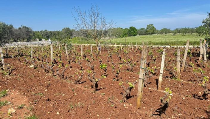 Image No.4-2 Bed Property for sale