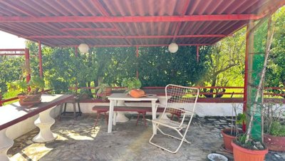 5588-san-vito-dei-normanni-a12