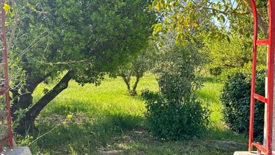 5588-san-vito-dei-normanni-a10