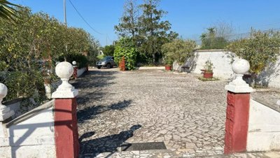 5588-san-vito-dei-normanni-a8
