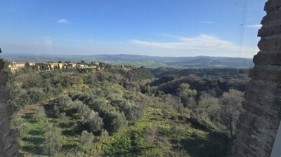 5619-volterra-a12