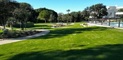 property15056fullimage6