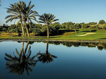 property15442fullimage15