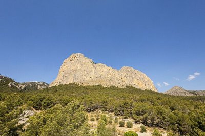 property15642fullimage14