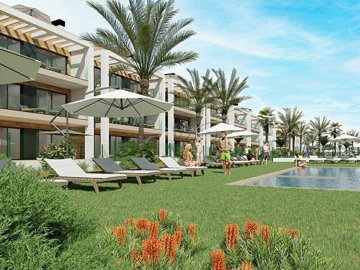 property15801fullimage15