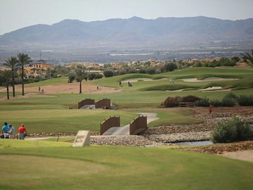 property15812fullimage13