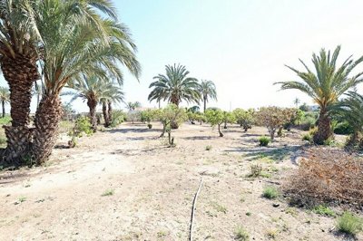 property15844fullimage8