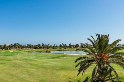 property15908fullimage10