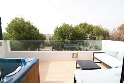 property203fullimage8
