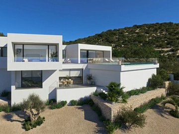 property221fullimage11