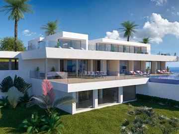 property229fullimage12