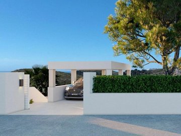 property233fullimage4