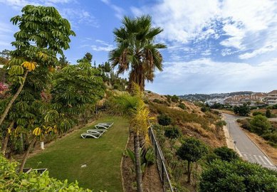property337fullimage12