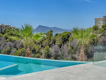 property383fullimage6
