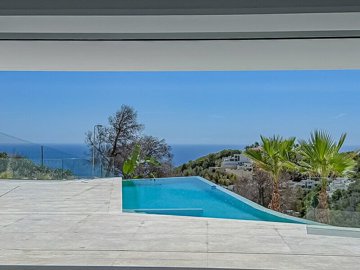 property383fullimage8