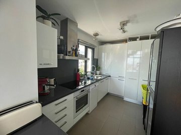 property480fullimage6