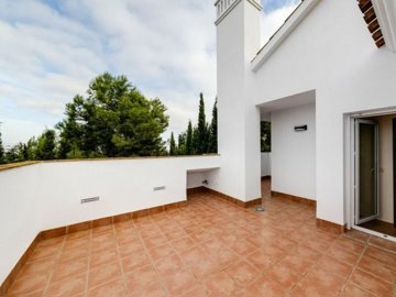 property801fullimage14