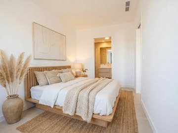property805fullimage3