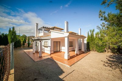 property808full