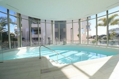 property788fullimage2