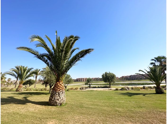 Image No.39-Appartement de 3 chambres à vendre à Mar Menor Golf Resort