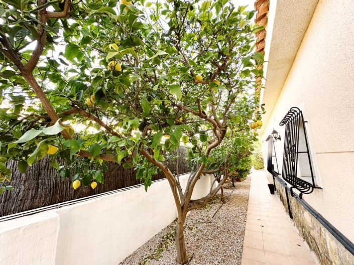 Image No.44-3 Bed Villa for sale