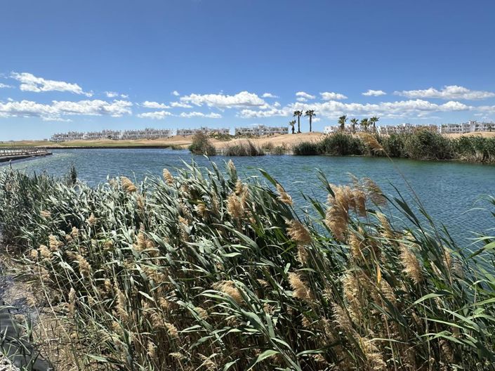 Image No.15-Appartement de 2 chambres à vendre à Terrazas de la Torre