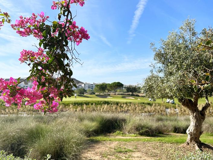 Image No.34-Appartement de 2 chambres à vendre à Hacienda Riquelme Golf Resort