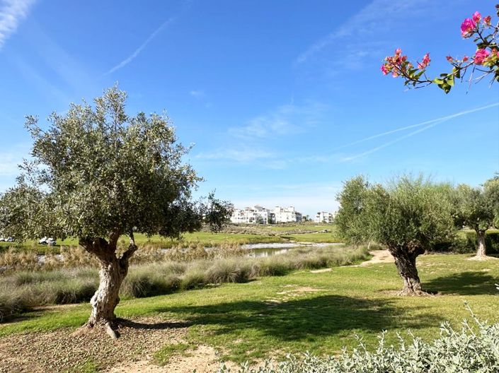 Image No.35-Appartement de 2 chambres à vendre à Hacienda Riquelme Golf Resort