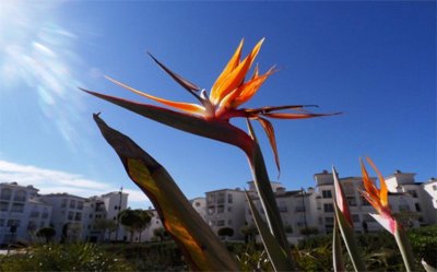 la-torre-pictures-22