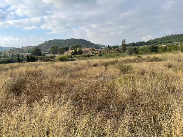 Image No.2-Property for sale