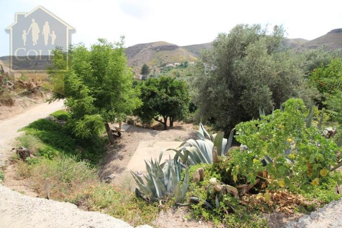 Image No.29-Cortijo de 4 chambres à vendre à Albox