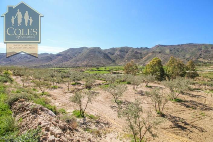 Image No.31-Cortijo de 3 chambres à vendre à Sorbas