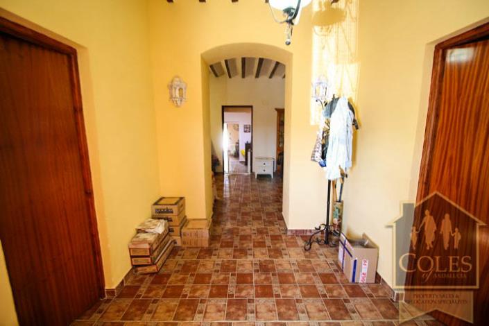 Image No.3-Cortijo de 5 chambres à vendre à Arboleas