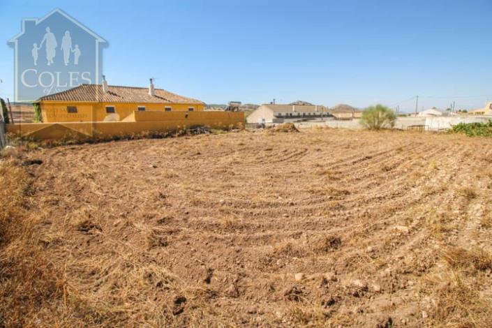 Image No.31-Maison de campagne de 5 chambres à vendre à Cúllar-Baza